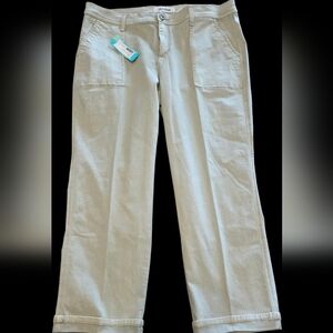 LILA RYAN Beige Payton Straight Leg Pant Size 16